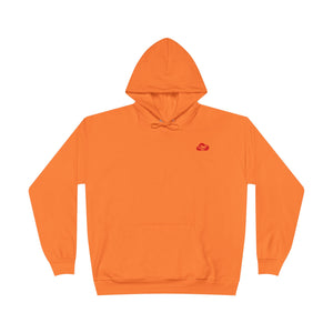 AshHead Advisory Hoodie