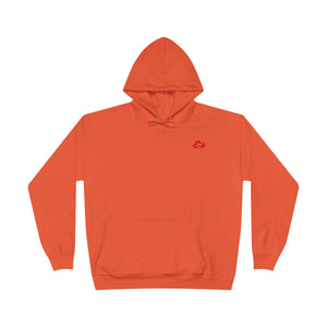 AshHead Advisory Hoodie