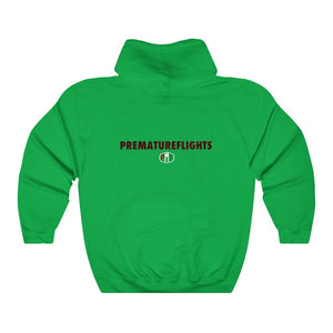 Blended Flight Hoodie