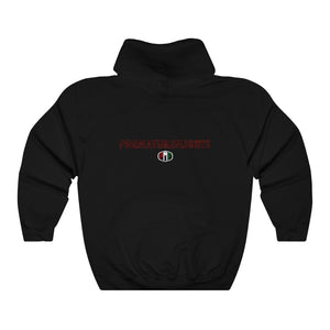 Blended Flight Hoodie